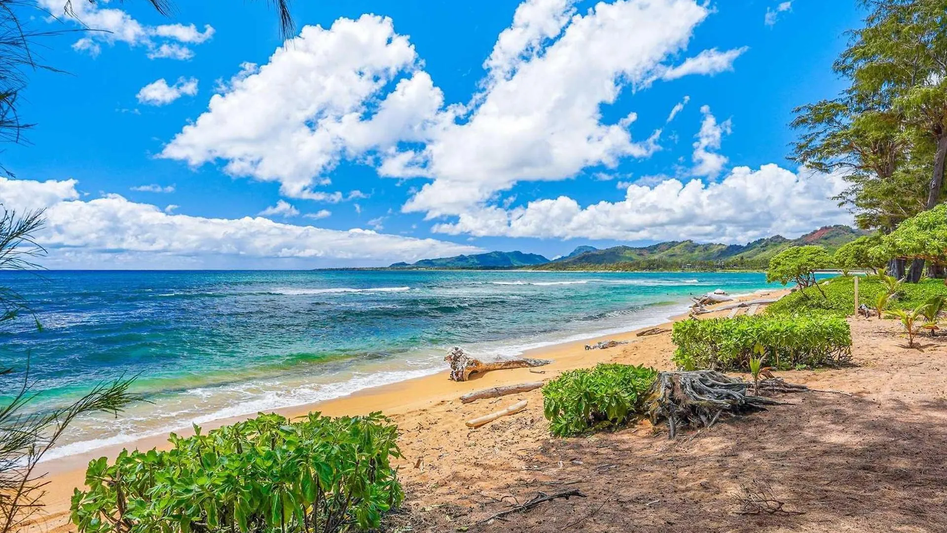 Apartment Islander On The Beach 245 Kapa'a