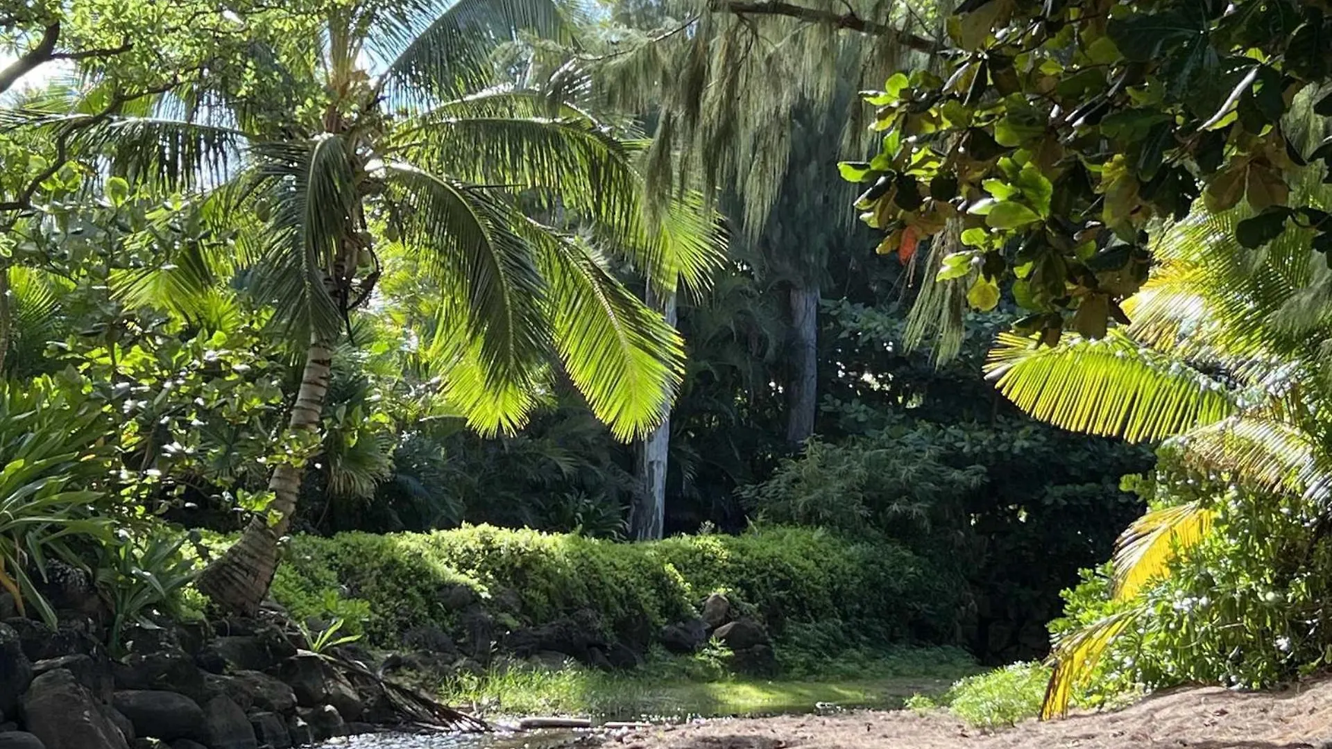 Islander On The Beach 245 Kapa'a 0*,  United States