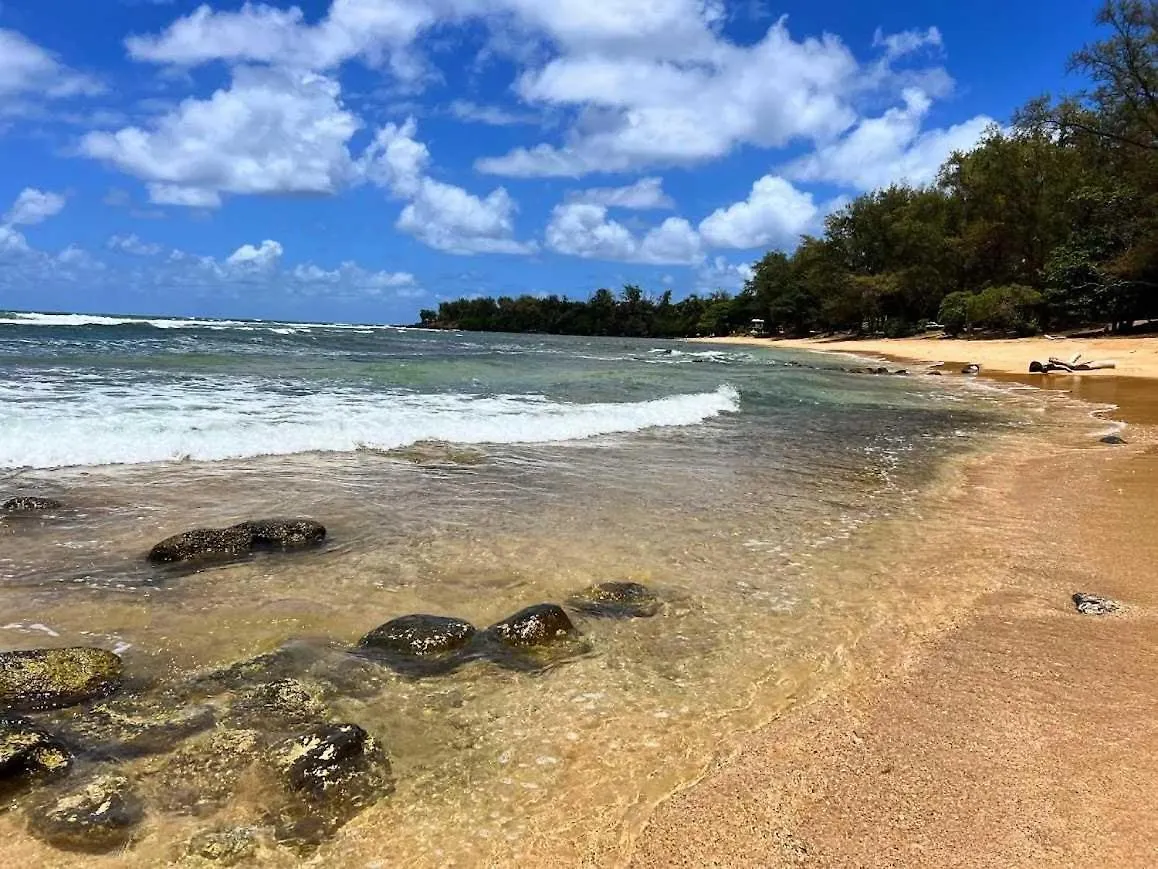 Islander On The Beach 245 Kapa'a
