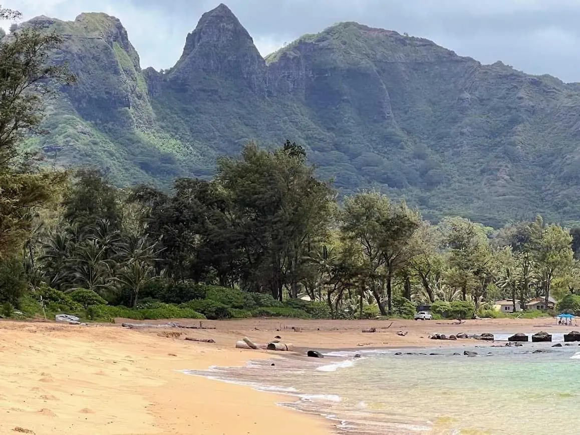 Apartment Islander On The Beach 245 Kapa'a