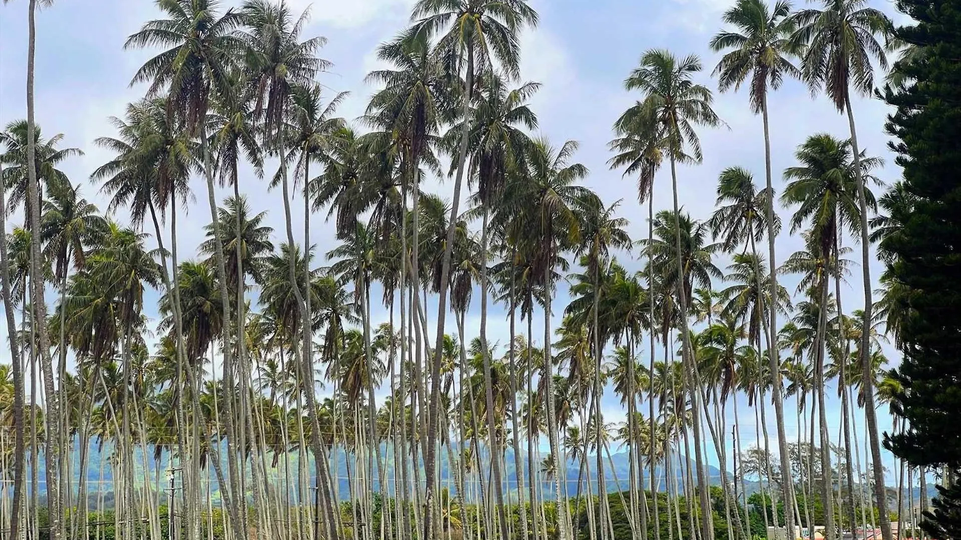 Islander On The Beach 245 Kapa'a 0*,  USA